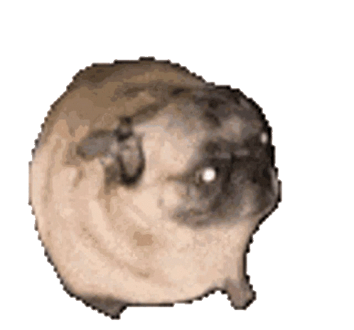 Navigate to the Gallery of my Fancy